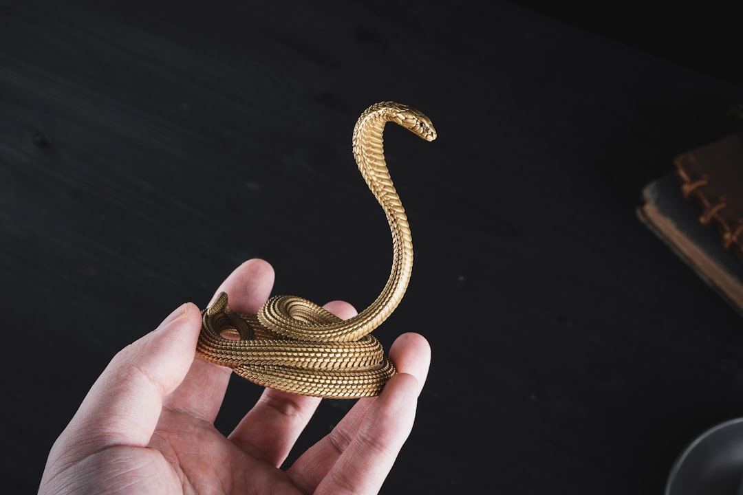 3D printed objects collection