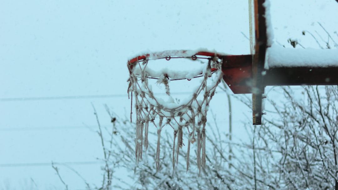 high temperature filament outdoor brackets freeze thaw winter - filament spool closeup
